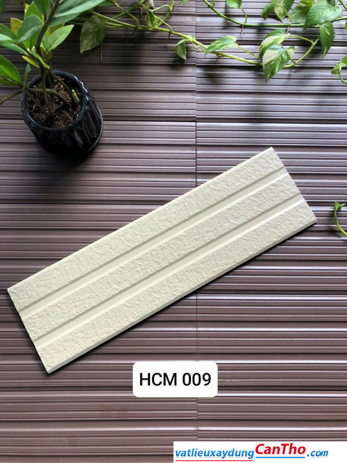 Việt Nhật HCM 009